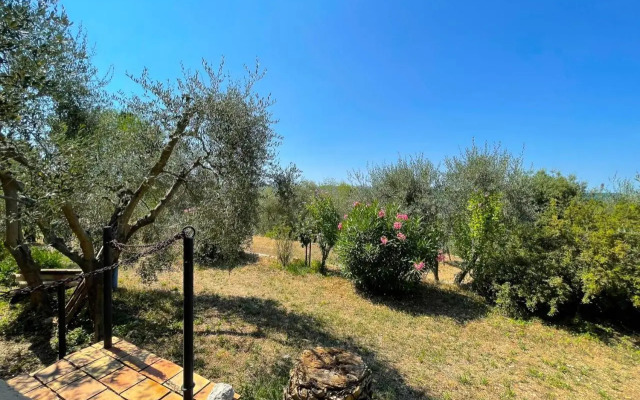 Charming Provencal farmhouse - 6 people - near Grasse