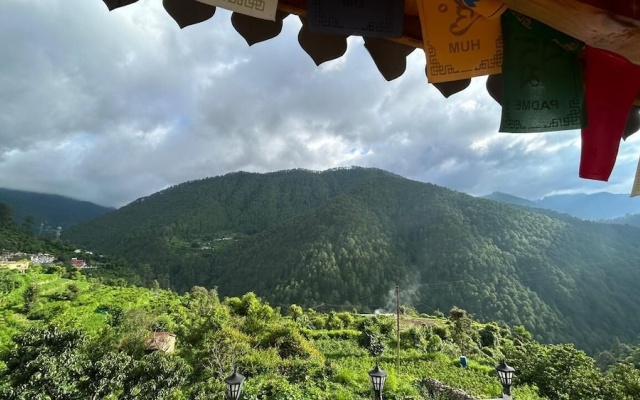 Mehra paradise and cafe