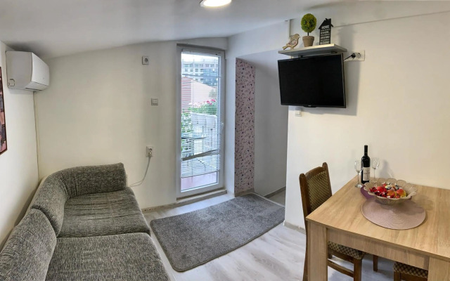 Apartment Viva