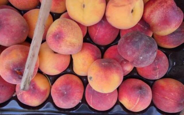 Residenza Cà Vernier