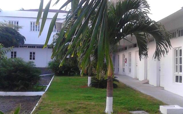 Sea Shell Palms