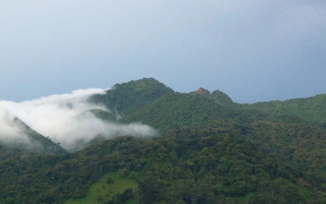 Cabañas Dr. Rivera
