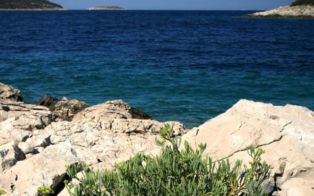 Apartment Jak - 10m from the sea: A Sevid, Riviera Trogir