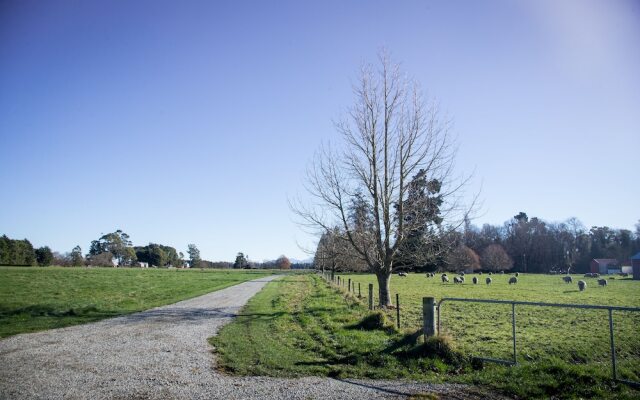 Coldstream Estate - The Whare