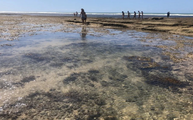 Branca Tropical Brasil Residencial