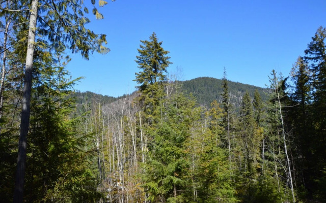 Woodland Cabins
