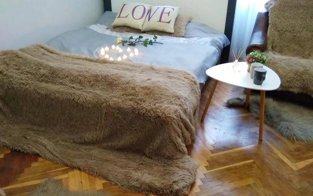 Comfortable modern apartment