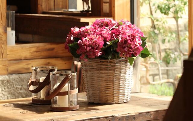 Lindner Spa & Golf Hotel Weimarer Land