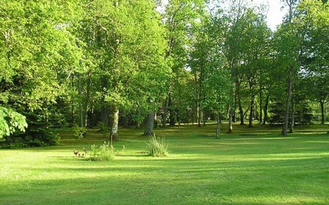 Parc de L'Aiguade