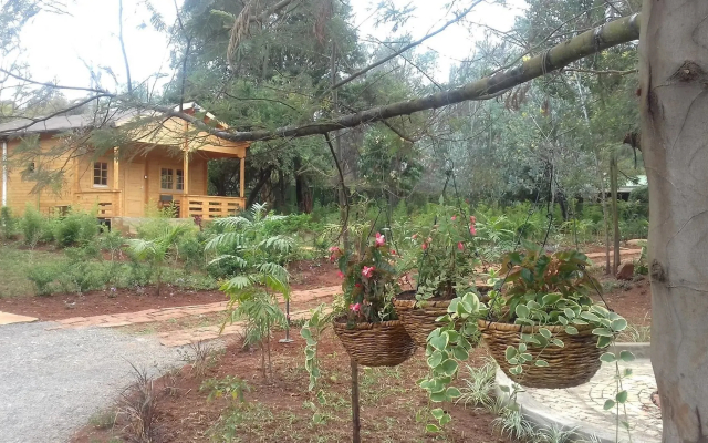 Severine Cottages and Lounge