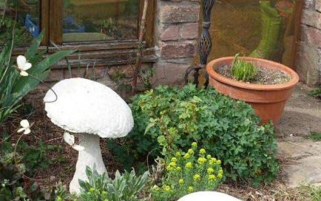 Le jardin des secrets