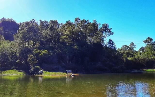 SEE TOO VILLE - Nature Lodge Sagada