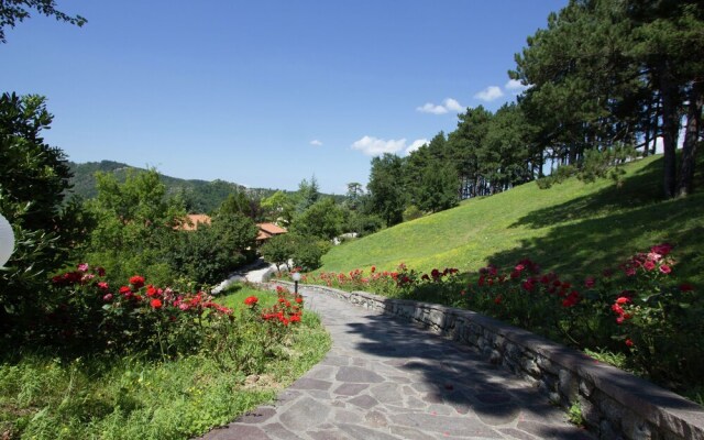 Beautiful Home With Terrace, Located in Nature