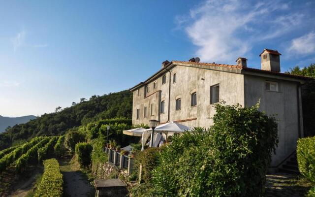 Casale In Vigna, CinqueTerreCoast
