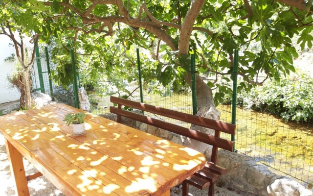 House With Large Garden, Right Next to the River