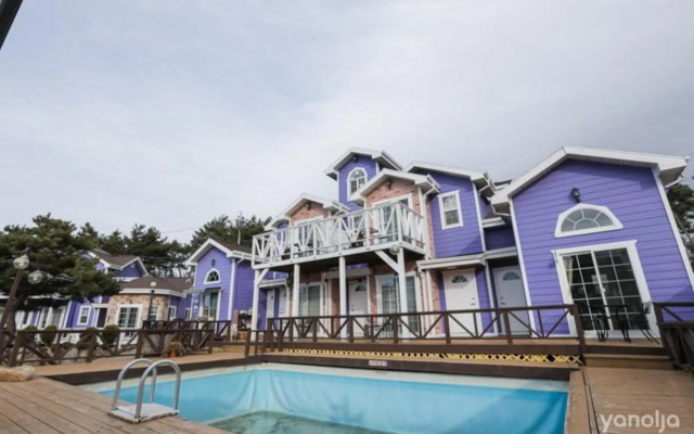Seonjedo Iris Pension
