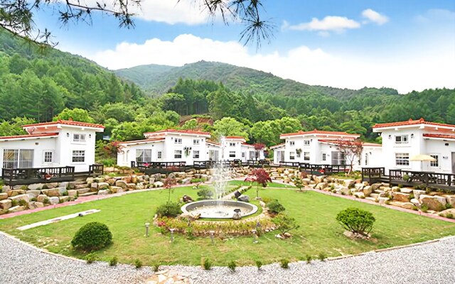 Gangchonwhite Castle Pension