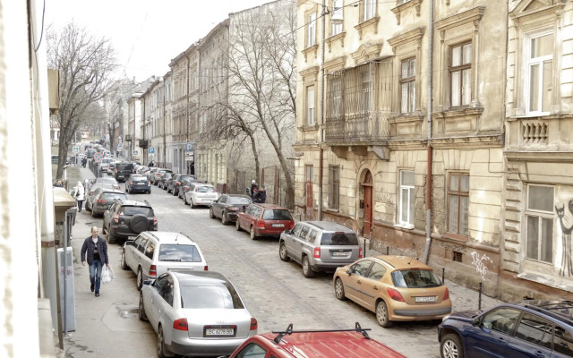 Transitional Havryky Apartment