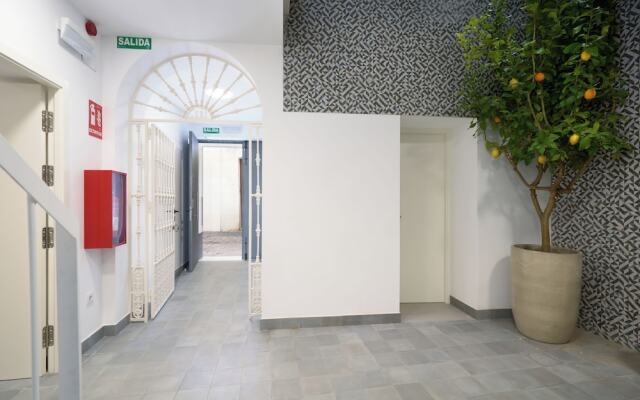 Naranjas y Limones, by Homing U