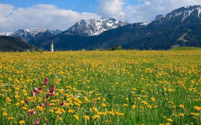 Ferienwohnungen Alpengarten Landhaus Am Breitenberg