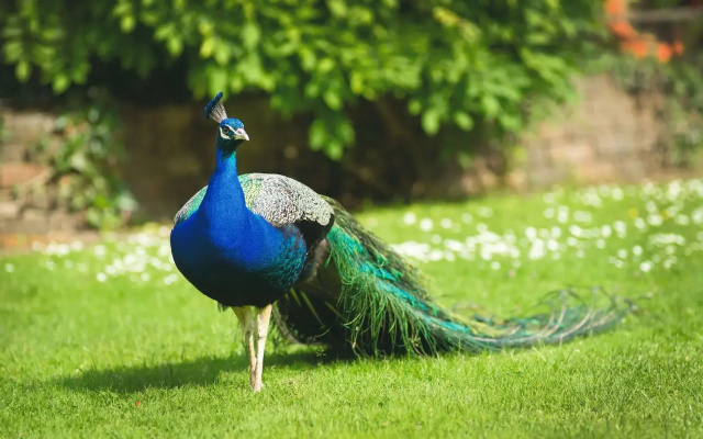 Crafted at Powdermills