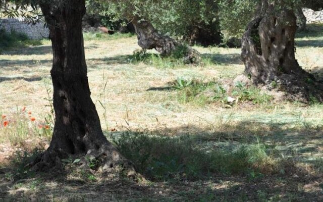 Masseria Costanza
