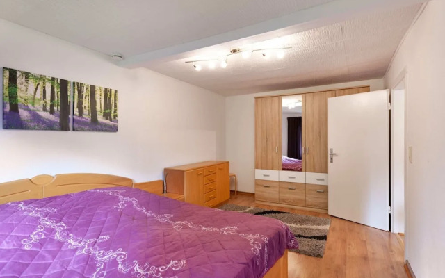 Apartment in Benneckenstein Near Ski Lift