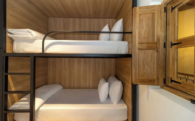 Camelia by Masaya Collection