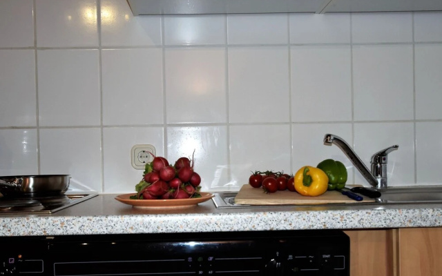 Geraeumige Ferienwohnung in Boddin mit Garten