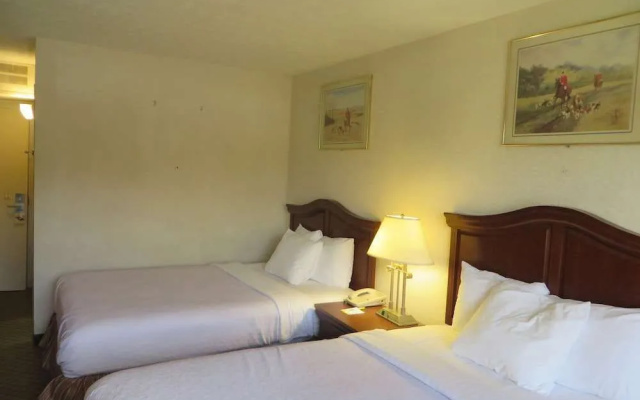 Holiday Inn Hotel And Suites