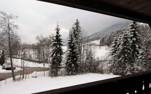 Very Spacious, Detached Holiday Home in Carinthia near Skiing & Lakes