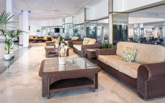 Sol Milanos Pingüinos