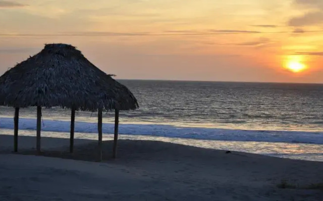 Donkey Den Guesthouse