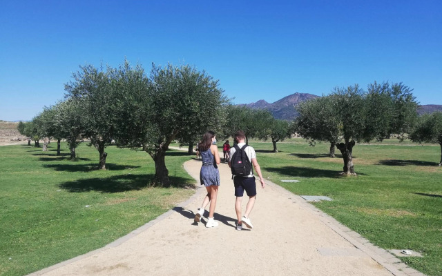 Global Immo 3349 LA SOLANA