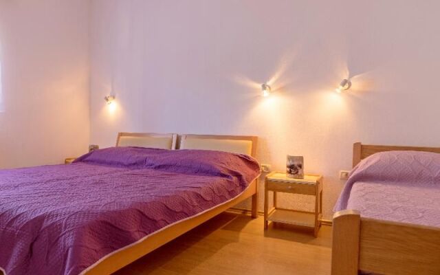 Apartments Danka