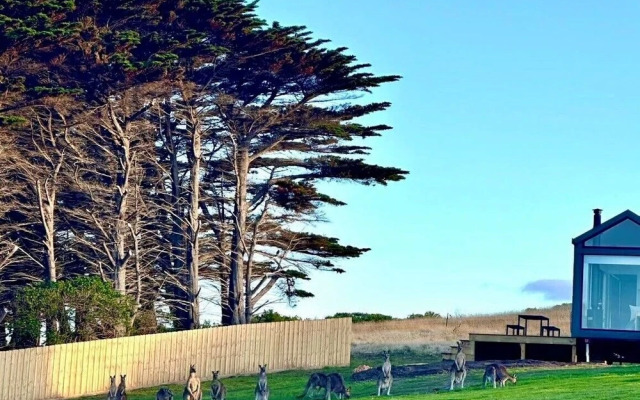 Swell At Cape Bridgewater