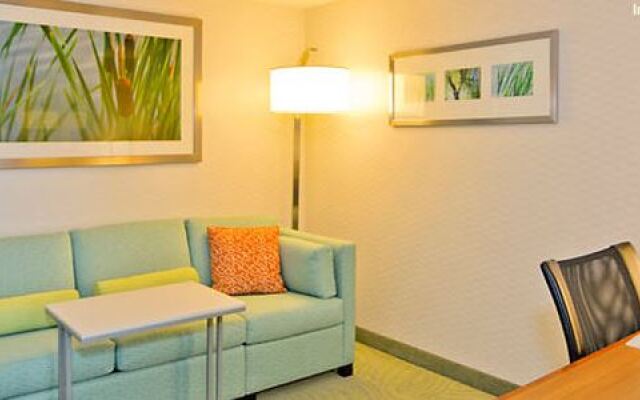 Springhill Suites by Marriott Pittsburgh North Shore