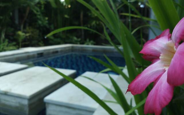 Pipe Dream Villas Resort