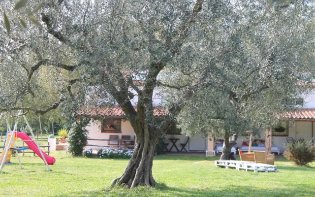 Borgo S.Maria Di Vulci