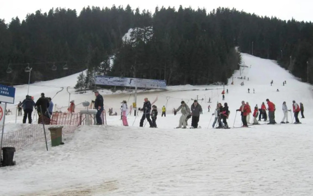 Flora Ski-slope Studio Apartment