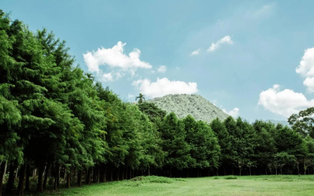 Immanuel Forest Homestay