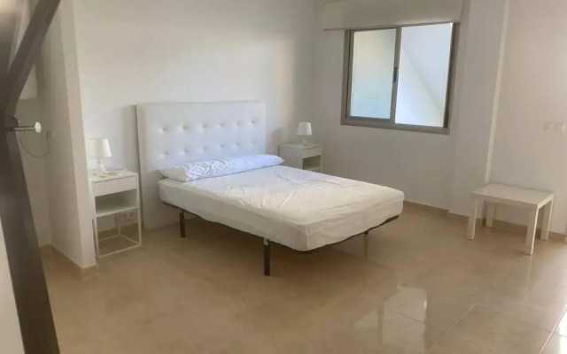 AP989 Cabagua Oliva Nova