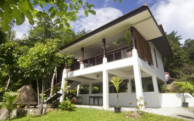The Green Palm