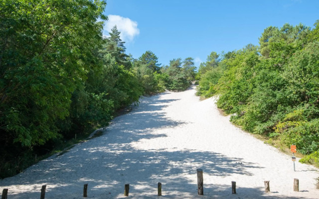 The Forester Schoorl