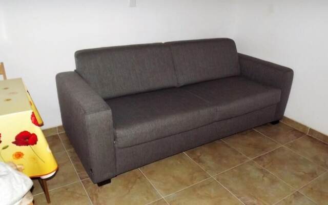 Cozy Apartment 16 With Double bed Sleeper Couch