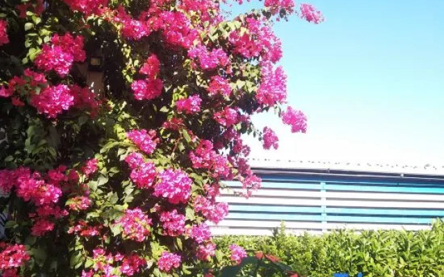 Misty Mountain Chu Hai