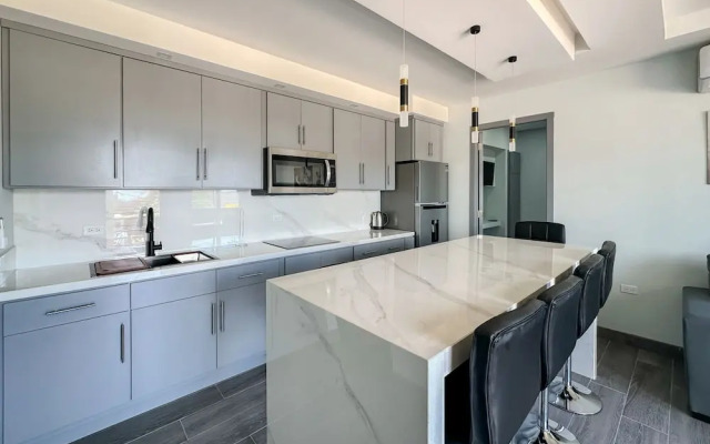 Urban Oasis Apartment 3