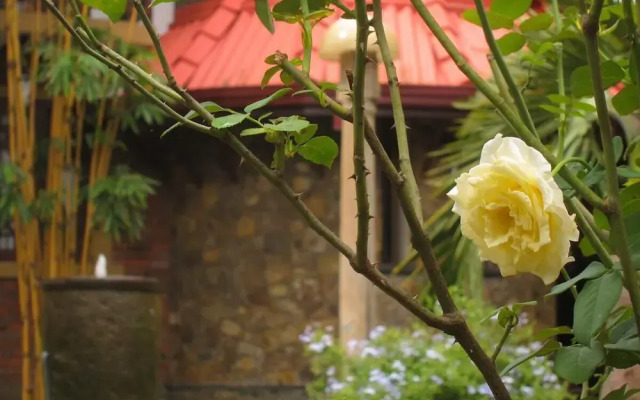 Sri Voc Homestay