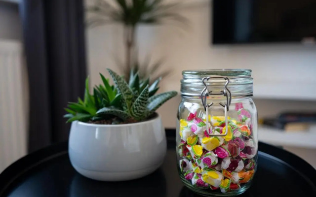 Marvlex ☆ Modernes Studio mit WIFI und NETFLIX