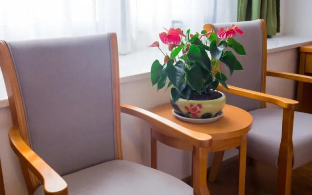 Vatica Hefei Feixi County Southwest Automobile Cit